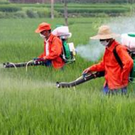 《農藥限制使用管理規(guī)定》